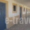 Paraschos Studios_lowest prices_in_Apartment_Dodekanessos Islands_Kos_Kardamena