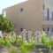 Paraschos Studios_travel_packages_in_Dodekanessos Islands_Kos_Kardamena