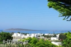 Narkissos Studios_s __1