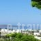 Narkissos Studios_accommodation_in_Hotel_Cyclades Islands_Antiparos_Antiparos Rest Areas