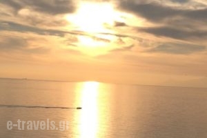 Papaelias Apartments_best deals_Apartment_Dodekanessos Islands_Kos_Kos Rest Areas