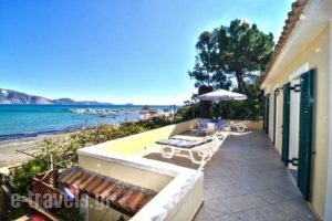 Turtle Beach_best deals_Apartment_Ionian Islands_Zakinthos_Agios Sostis