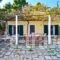 Turtle Beach_accommodation_in_Apartment_Ionian Islands_Zakinthos_Agios Sostis