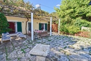 Turtle Beach_best prices_in_Apartment_Ionian Islands_Zakinthos_Agios Sostis