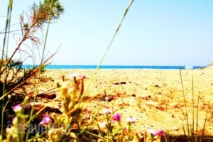 Chrissas Apartments_best prices_in_Apartment_Crete_Rethymnon_Rethymnon City