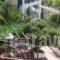 Hotel Karyatides_travel_packages_in_PiraeusIslands - Trizonia_Aigina_Aigina Chora