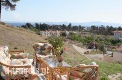 Olympic Kosma Hotel and Villas_s __1