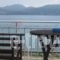 Studios Irini_travel_packages_in_Ionian Islands_Lefkada_Lefkada's t Areas