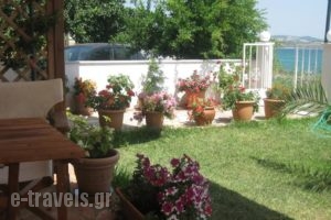 Studios Irini_best deals_Hotel_Ionian Islands_Lefkada_Lefkada's t Areas