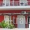 Studios Irini_accommodation_in_Hotel_Ionian Islands_Lefkada_Lefkada's t Areas
