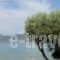 Agnadi Suites_accommodation_in_Hotel_Ionian Islands_Lefkada_Vasiliki
