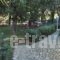 Hotel Orama_best deals_Hotel_Central Greece_Evia_Limni