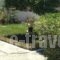 Alexandra Apartments_best prices_in_Apartment_Ionian Islands_Corfu_Lefkimi