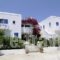 Moschoula Studios_accommodation_in_Hotel_Cyclades Islands_Paros_Paros Chora