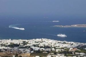 Pavlis Studios & Rooms_lowest prices_in_Room_Cyclades Islands_Paros_Paros Chora