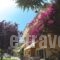 Rousis Studios_best prices_in_Hotel_Epirus_Preveza_Parga