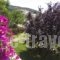 Rousis Studios_lowest prices_in_Hotel_Epirus_Preveza_Parga