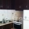 Olympic Holiday Zigos_travel_packages_in_Epirus_Thesprotia_Grekochori
