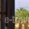 Villa Oianthia_lowest prices_in_Villa_Central Greece_Fokida_Galaxidi
