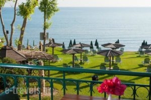 Zarkadis Beach Apartments_holidays_in_Apartment_Ionian Islands_Zakinthos_Zakinthos Rest Areas