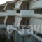 Lappas Rooms_accommodation_in_Room_Central Greece_Evia_Limni