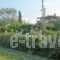 Repo Studio_best deals_Apartment_Central Greece_Fokida_Chiliadou