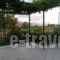 Repo Studio_best prices_in_Apartment_Central Greece_Fokida_Chiliadou