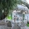 Phoenix Studios_holidays_in_Hotel_Macedonia_Halkidiki_Toroni