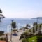 Azalea Studios_accommodation_in_Apartment_Sporades Islands_Skiathos_Skiathos Chora
