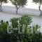 Almirikia Apartments_holidays_in_Room_Central Greece_Evia_Kymi