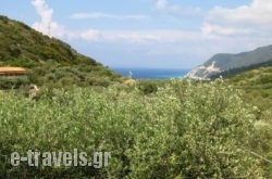 Ionio Studios_s __1