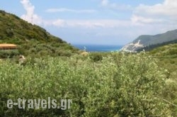 Ionio Studios in Lefkada Rest Areas, Lefkada, Ionian Islands