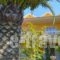 Alex Studios & Apartments_lowest prices_in_Apartment_Ionian Islands_Corfu_Corfu Rest Areas