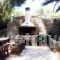 Villa Rena_accommodation_in_Villa_Cyclades Islands_Andros_Batsi