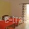 Michalis Studios & Apartments_accommodation_in_Apartment_Crete_Chania_Palaeochora