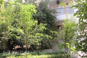 Niki Apartments_best deals_Apartment_Macedonia_Halkidiki_Kassandreia