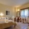 Asteras_best prices_in_Hotel_Macedonia_Halkidiki_Sarti