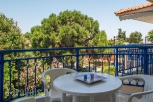 Asteras_holidays_in_Hotel_Macedonia_Halkidiki_Sarti