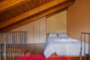 Chalet Frygias_holidays_in_Room_Central Greece_Viotia_Arachova
