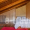 Chalet Frygias_holidays_in_Room_Central Greece_Viotia_Arachova