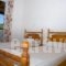 Vaso -Alykanas Studios_best deals_Room_Ionian Islands_Zakinthos_Alikanas