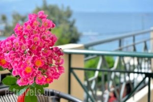 Evia Studios_best deals_Hotel_Central Greece_Evia_Edipsos