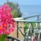 Evia Studios_best deals_Hotel_Central Greece_Evia_Edipsos