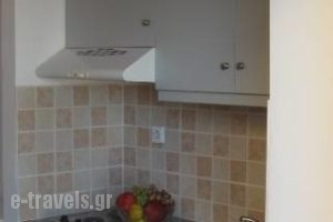 Sofia Apartments_best prices_in_Apartment_Crete_Chania_Vryses Apokoronas