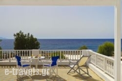 Dolphins Apartments_s __1