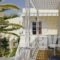 Dolphins Apartments_lowest prices_in_Apartment_Cyclades Islands_Sandorini_Sandorini Chora