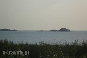 Magic Land_lowest prices_in_Hotel_Cyclades Islands_Naxos_Mikri Vigla