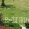 Maistrali Apartments_best prices_in_Apartment_Macedonia_Halkidiki_Chalkidiki Area
