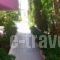 George's Studios_best prices_in_Hotel_Dodekanessos Islands_Kos_Kardamena