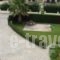 Maistrali Apartments_lowest prices_in_Apartment_Macedonia_Halkidiki_Chalkidiki Area
